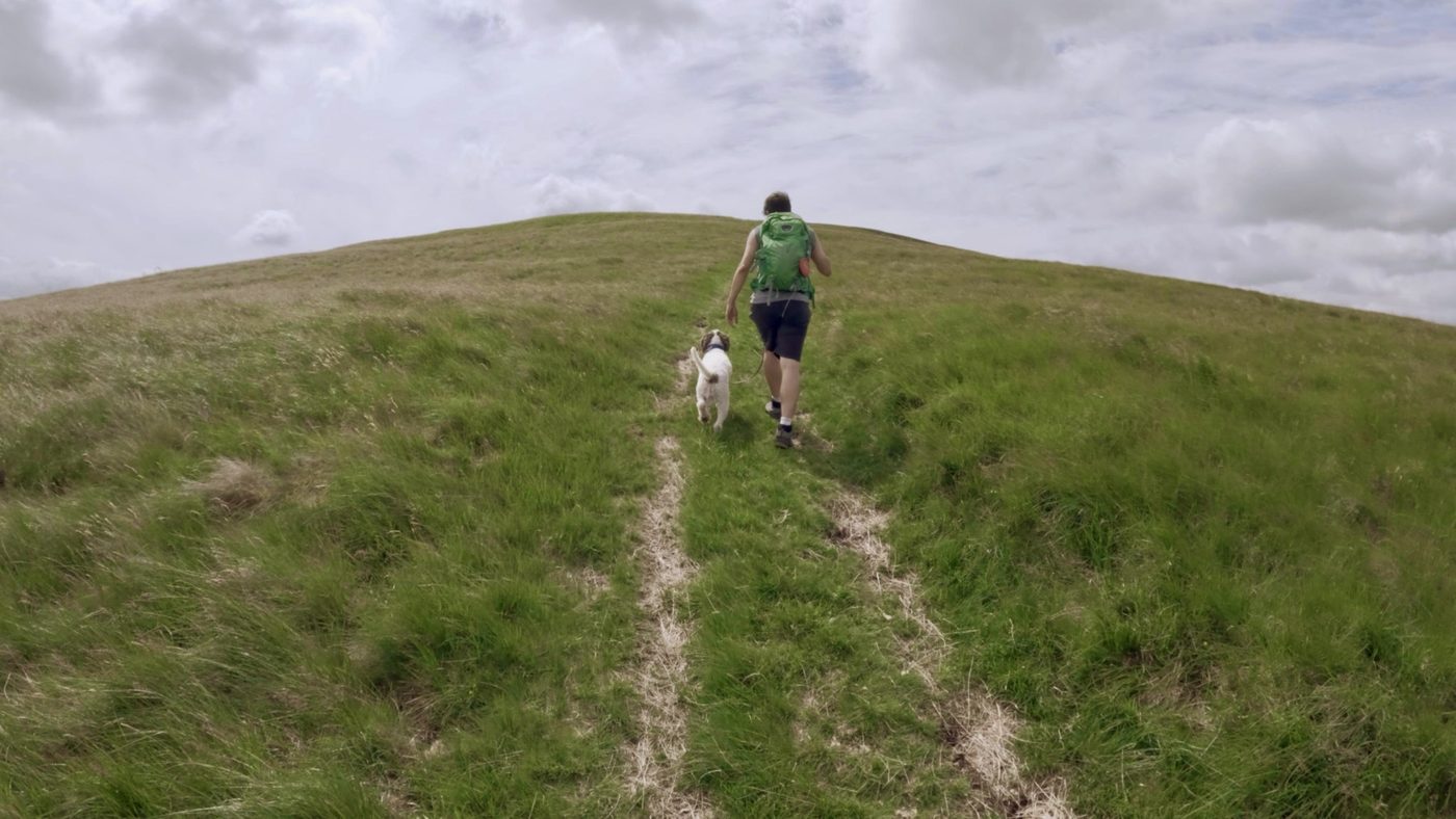 Ein Mann mit Rucksack geht einen Grashang hinauf, ein junger Lagotto folgt ihm an lockerer Leine